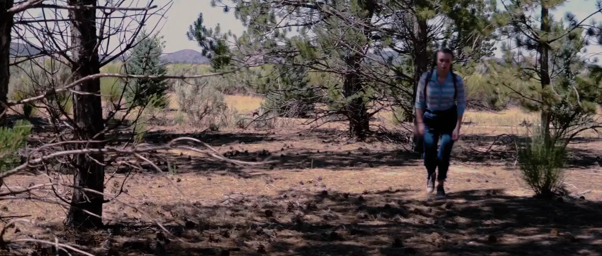 After the Pandemic (2022)