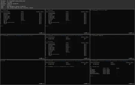 Introduction to Network Routing [Updated: 2/25/2025]