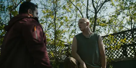 Adulthood (2025)