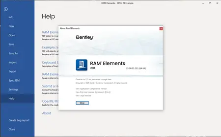 RAM Elements 2025 Patch 1 (25.00.01.11)