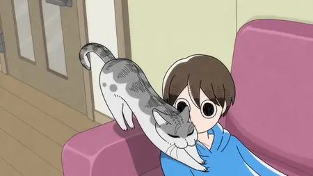 Nights With a Cat - S01E68 - Night 68 A Cat Who Takes Time to Stretch