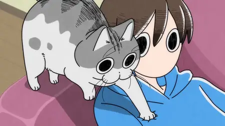 Nights With a Cat - S01E68 - Night 68 A Cat Who Takes Time to Stretch