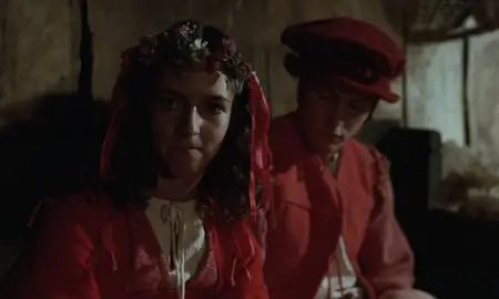 Le retour de Martin Guerre / The Return of Martin Guerre (1982)