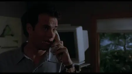 Sleepless in Seattle (1993)
