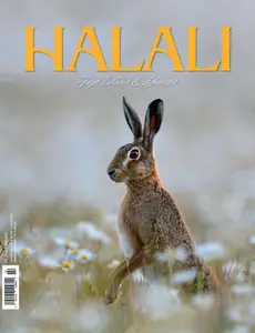 Halali - Mai-Juli 2025