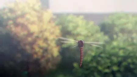 Sword of the Demon Hunter S01E19 Episode 19