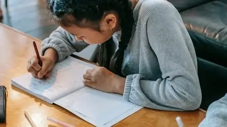 My Handwriting Journey:   Elegant Writing For Every Hand