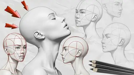 Loomis Method: Complete Face Drawing Course- Step by Step