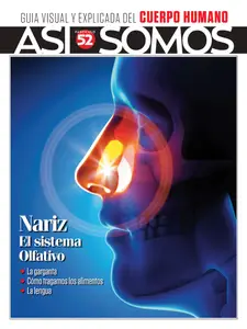 Así Somos El cuerpo humano - 15 Julio 2025