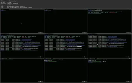 Ethical Hacking: System- und Netzwerk-Hacking