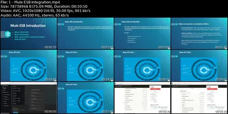 MuleSoft 4.X Complete Guide For Beginners- Hands On Projects
