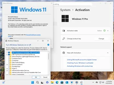 Windows 11 Pro 24H2 Build 26100.6584 (No TPM Required) With Office 2024 Pro Plus Multilingual September 2025