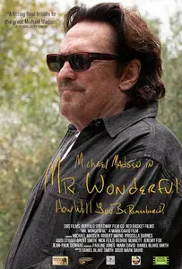 Mr. Wonderful (2026)