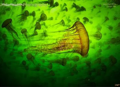 Underwater Photography - September/October 2025