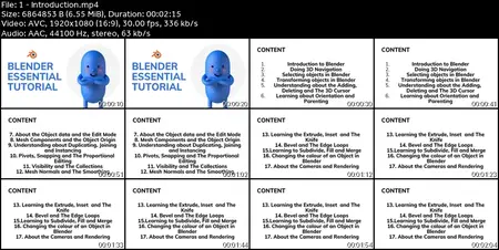 Master the Blender for Game Art, Film & Design