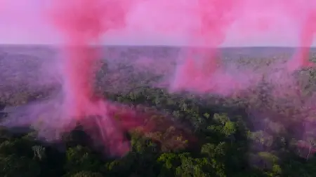 RTE The Future of Nature (2025)