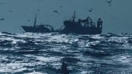 RTE The Future of Nature (2025)