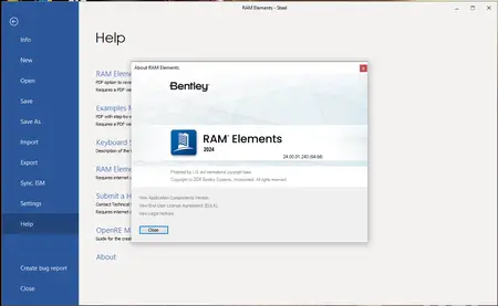 RAM Elements 2024 (24.00.01.240)