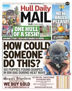 Hull Daily Mail - 14 July 2025