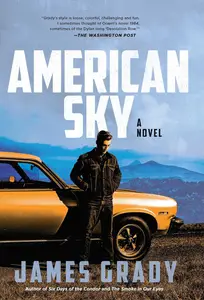 American Sky: A Novel