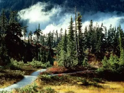 Extraordinary High resolution  Images Of Nature P7