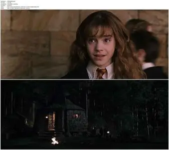 Harry Potter and the Chamber of Secrets (2002) [EXTENDED] + Extras