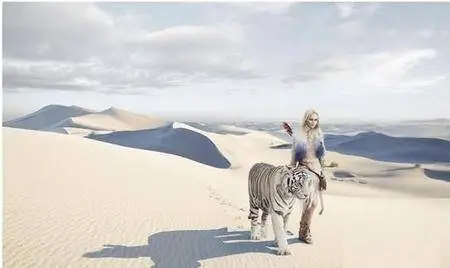 Erik Almas Photoshop Case Study - The Desert Tiger