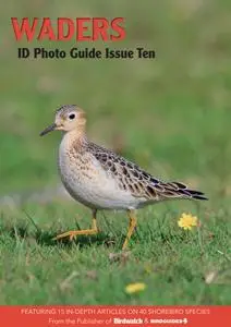 Bird ID Photo Guides – 10 July 2023