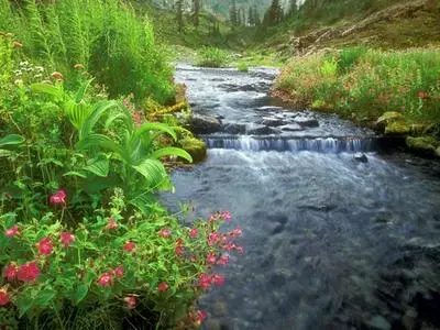 Nature Scenes - Rivers and Creeks
