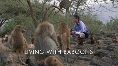 BBC Natural World - Living with Baboons (2012)