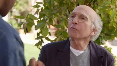 Curb Your Enthusiasm S09E01