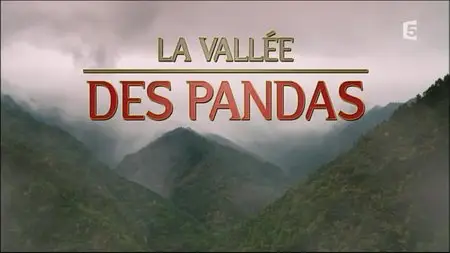 (Fr5) La vallée des pandas (2015)