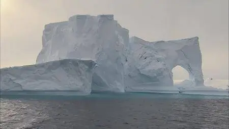 HDScape: Antarctica Dreaming - WildLife On Ice (2006)