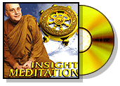 Insight Meditation Instruction - Ven. Pannyavaro