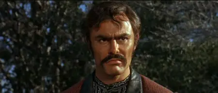 The Appaloosa (1966)