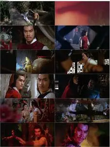 Bloody Parrot (1981) Xie ying wu