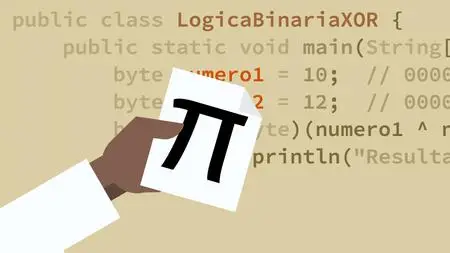 Mathematik-Grundlagen für die Programmierung