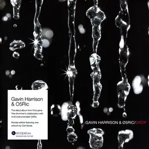 Gavin Harrison & 05Ric - Drop (2007) [Kscope, 2013]