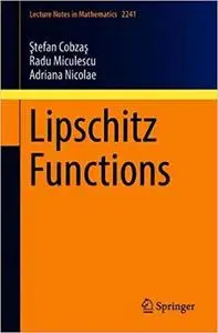 Lipschitz Functions