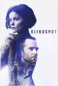 Blindspot S02E15 (2017)