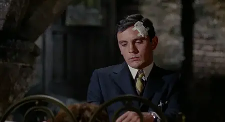 The Collector (1965)