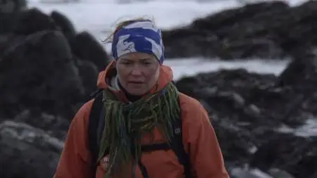 BBC Natural World - Iceland: Land of Ice and Fire (2015)