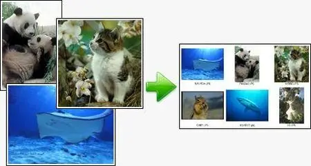 Photoutils Photo Merge and Rename v2.0