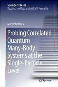 Probing Correlated Quantum Many-Body Systems at the Single-Particle Level (Repost)