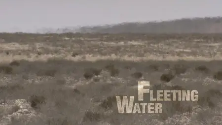 Water Life: Episode 12 - Fleeting Water / Mundos de agua / Водная жизнь. Серия 12 - Летучая вода (2008) 