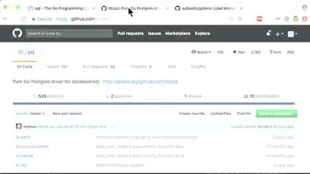 Golang: build RESTful APIs with Golang (Go programming lang) (2018)