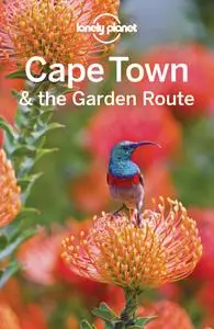 Lonely Planet Cape Town & the Garden Route (Travel Guide), 9th Edition