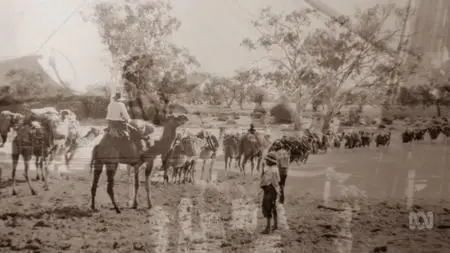 ABC - Running Wild Australia's Camels (2016