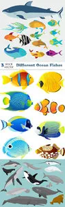 Vectors - Different Ocean Fishes