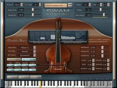 Audio Modelling SWAM Engine - SWAM Double Bass v2.0.1 WiN